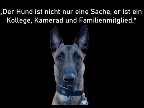 AirMeG - Tactical K9 Medic - Erste Hilfe Hund - Verhalten in einer Ausnahmesituation