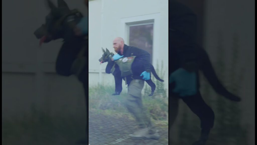 K9 Medic Symposium 2025