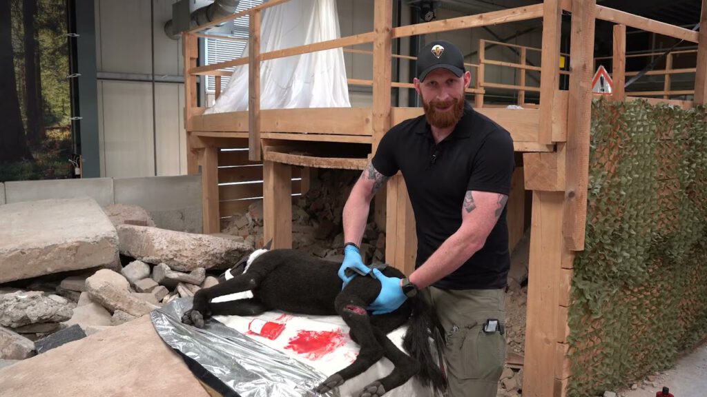 AirMeG Online Workshops - K9 Bleeding Control - SWAT Tourniquet