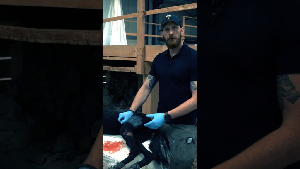 Airborne Medical Group online Workshops - Mensch und Hund #k9medic #airmeg #taktischemedizin