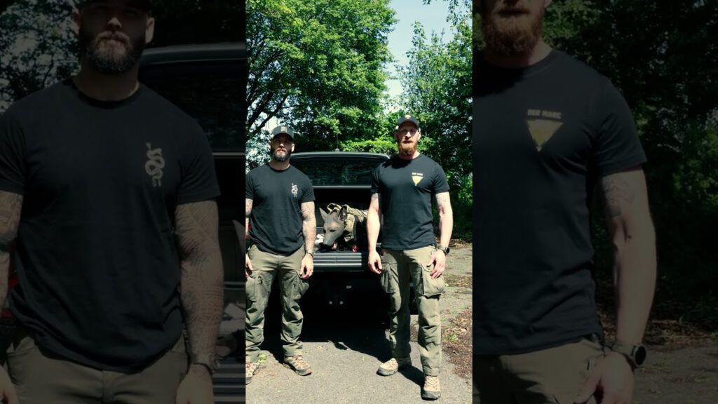 K9 Medic - Tactical Medicine for Dogs - AirMeG GmbH & MedTac